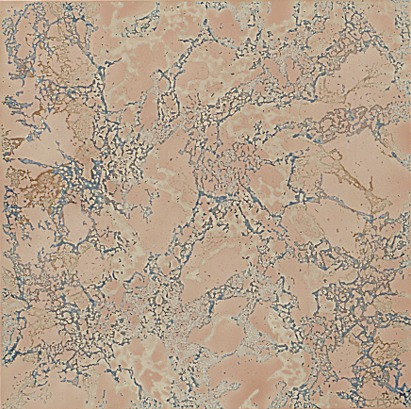 ROSA IMPERIAL PULIDO 40X40