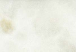 ROMANCE PERLA 31X45 